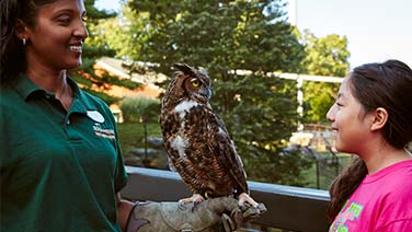 keeper showing owl to girl