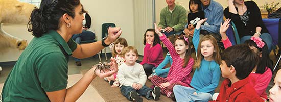 Animal Encounter in the classroom