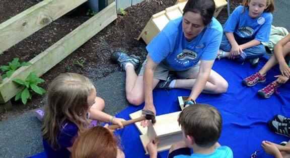 building bluebird nest boxes