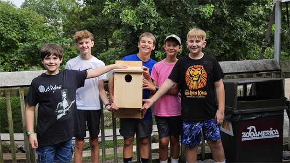 ZooCamp kestrel nest box