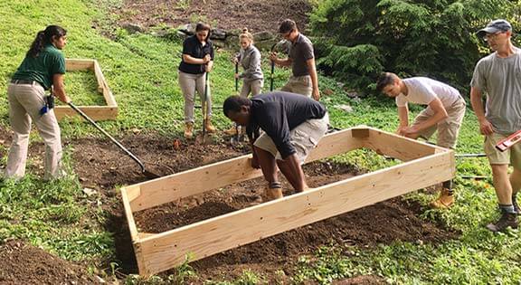 raised-garden-bed