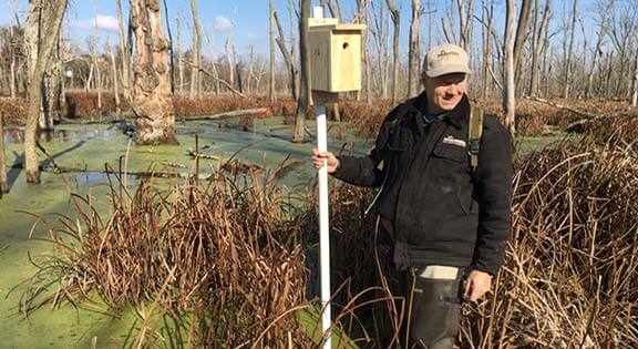 Warbler Nest Box