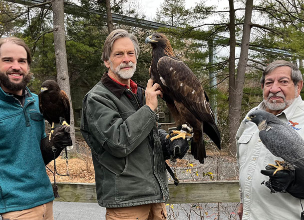 Falconry Staff
