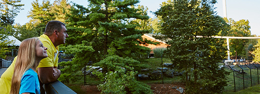 Guests at the zoo