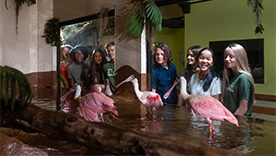 Group of kids looking at wildlife at ZooAmerica