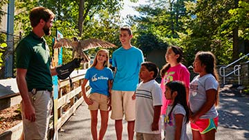 Kids watching a faclon during animal encounter