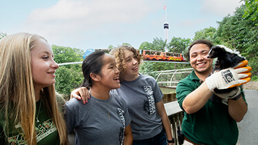 People enjoying animal encounter with skunk